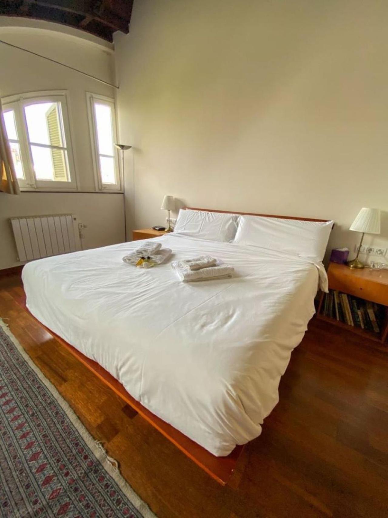 Passeig De Gracia Loft * Barcellona